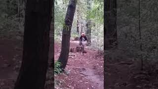 Bad MTB crash  #mountainbike #shorts #mtb...