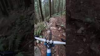 POV Down The steepest  Trail On The North...