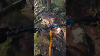 Taking the hard way down