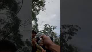 Brutal bike crash #shorts #mountainbike #crash...