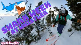 WHISTLER  POWDER- BEST SHARK WEEK EVER!  ...