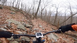 Orange Black Dot & Orange Trails Tourne...