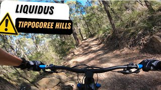 Liquidus - Tippogoree Hills - Georgetown