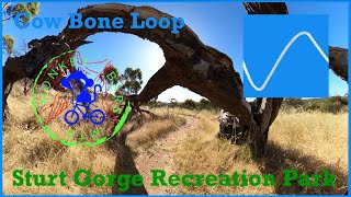 Sturt Gorge Recreation Park - Cow Bones Trail...