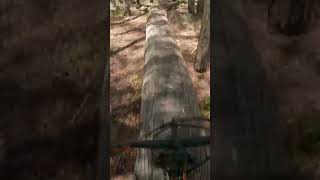 See saw skinny #mountainbike #shorts #mtb...