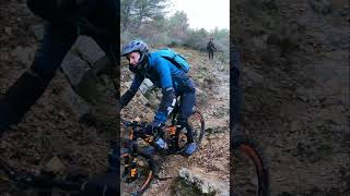 Freewheel
