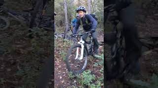 Freewheel
