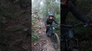 Freewheel