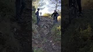 Freewheel