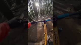 New 27.5 is fast 