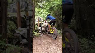 The Rock Garden Challenge