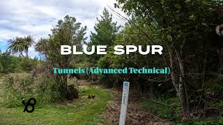 BLUE SPUR TUNNELS | 2022