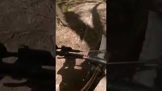 This feature is crazy #shorts #mountainbike...