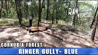 GINGER GULLY | Cornubia | RAW WEDNESDAYS