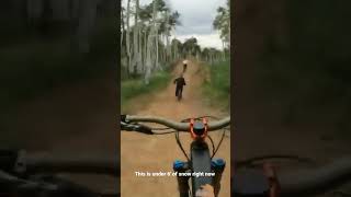 I miss deer valley in summer #mtb #mtblife...