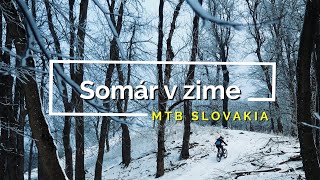 Somár a Trail Biely kríž v zime