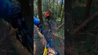 Party Laps