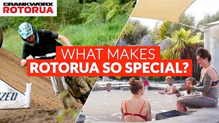 WHAT MAKES ROTORUA SO SPECIAL?