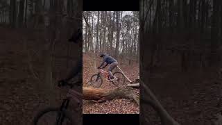 Quick out and back on this suspended log....