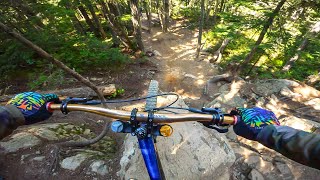 Whistler's GNARLIEST DH TRAILS are Incredible!