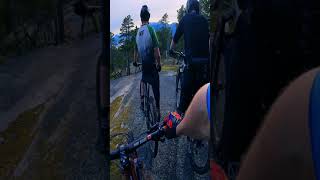 Four Riders, Four Different Lines