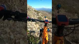 Amazing Rock Garden  #shorts #mtb...