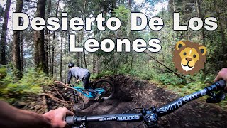 Mexico City MTB | Desierto De Los Leones