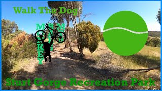 Sturt Gorge Recreation Park - Walk The Dog -...
