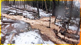Assessing Damage From The Windstorm - December...