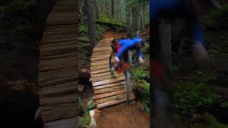 Would You Follow Me Down The Trail??