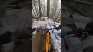 Icy roots are fun…