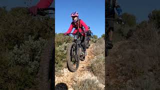 Freewheel