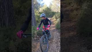 Freewheel