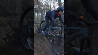 Freewheel