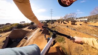 THE MOST DIRT JUMPS YOU'VE EVER SEEN IN ONE...