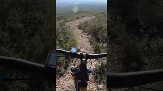 Freewheel / etoile
