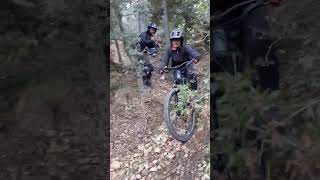 Freewheel/New Jungle