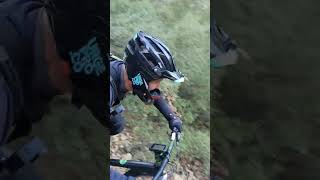 Freewheel/New Jungle