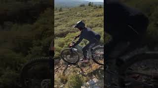 Freewheel/Tiny Kitzbühel