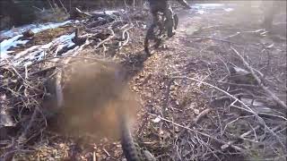 Trail BONVIC TRAVERS 26/12/2022