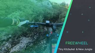 Freewheel/Tiny Kitzbuhel & New Jungle