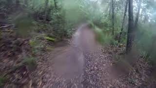 OC to Tasman Hwy