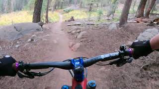 How to get around a tree without using your brakes