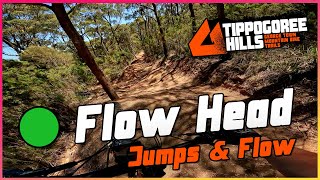 Flow Head / Tippogoree Hills, Georgetown MTB