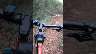 Freewheel / Jungle ( Lower )