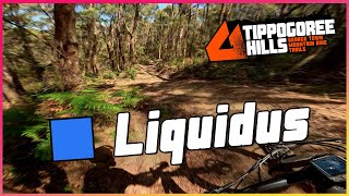 Liquidus / Tippogoree Hills, Georgetown MTB