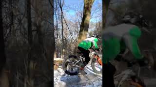 Fatbike Likes Logs