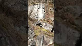 Best video of 2022, @edenshred showing us his...
