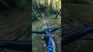 Best POV of 2022!! Scary Lines!! #mtb #gopro