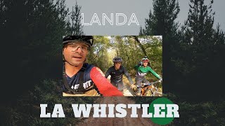 La whistler